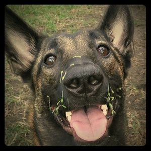 ❤JUST PICK AND SUBMIT!❤